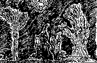 Disegno